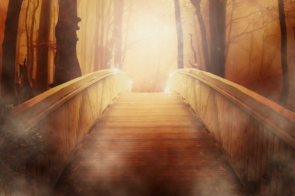 bridge, forest, fantasy, trees, light, fog, mist, mystical, dramatic, woods, path, pathway, walkway, mystical forest, magical forest, wooden bridge, dawn, nature, dusk, sunset, sunrise, scenic, digital painting